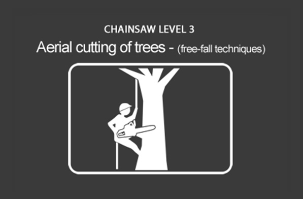 Chainsaw (CS39) (Unit 21-08) Operate Chainsaw from a Rope and Harness
