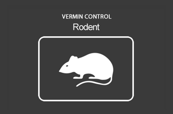 Rodent Control