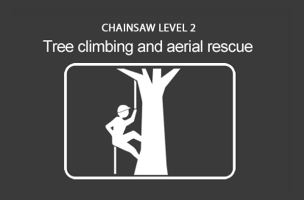 Chainsaw (CS38) Climb Trees and Perform Aerial Rescue
