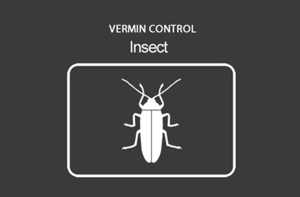 Domestic Insect Control